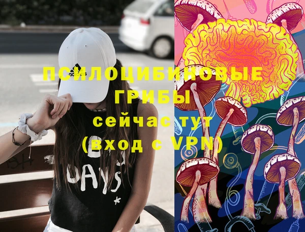МДПВ Наволоки