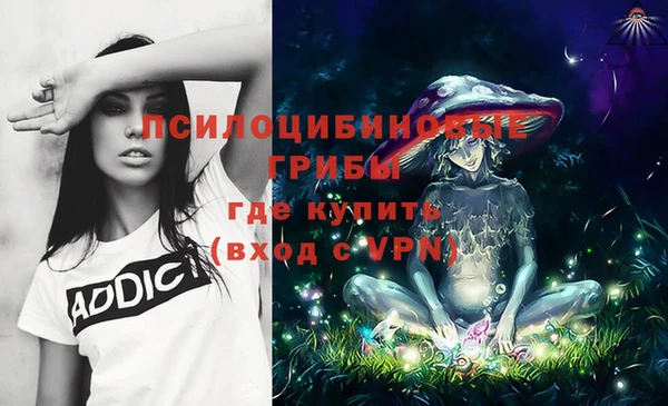 бутират Козловка