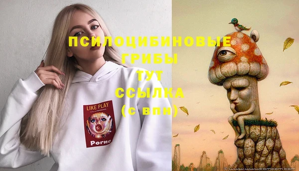 мдпв Михайловка
