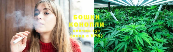 эйфоретик Михайлов