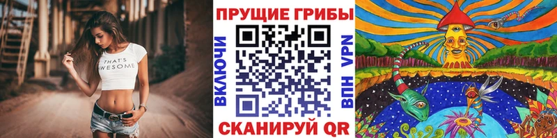 Галлюциногенные грибы Psilocybine cubensis Кодинск